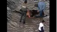 World's Wildest Police Videos