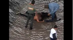 World's Wildest Police Videos