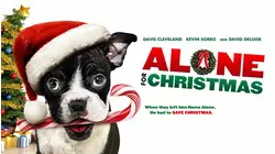Alone for Christmas