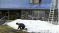 Funniest Pets & People