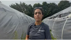 Nursery owner says repeated acts of vandalism left her with up to $40K in damage and losses