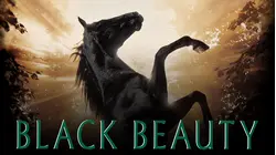 Black Beauty