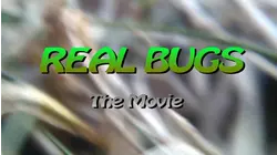 Real Bugs: The Movie