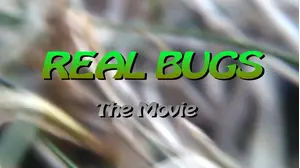 Real Bugs: The Movie