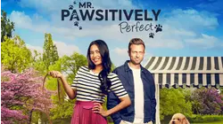 Mr. Pawsitively Perfect
