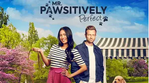 Mr. Pawsitively Perfect