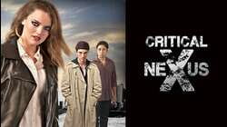 Critical Nexus