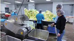 Made in New Jersey: Kimchi Pride grows from family roots to national reach