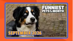 Funniest Pets of the Month | Ep. 3.9