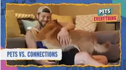 Pets VS. Everything | Pets VS. Connections