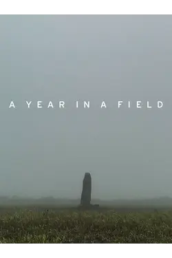 A Year In A Field