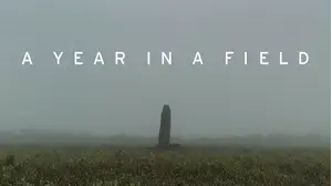 A Year In A Field
