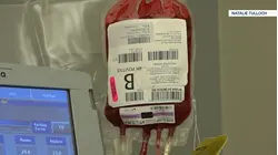 'Need 4 Blood' documentary by Haverstraw filmmaker to be featured at Nyack film festival