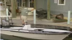 Spanish Fly E6 "Tarpon Flats" (1995)