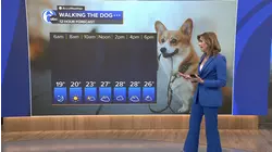 AccuWeather: Bitter cold with wind chills in the teens today