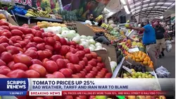 Tomato prices hit an 8-year high during the month of March