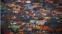 Mega Cities