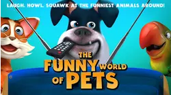 The Funny World Of Pets