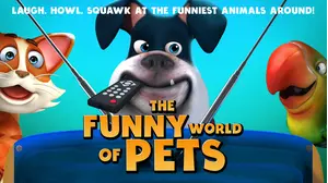 The Funny World Of Pets