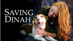 Saving Dinah