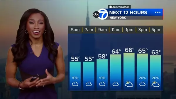 AccuWeather: Mild with a shower - ABC7 New York | Xumo Play