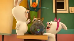 Rabbid Negotiation