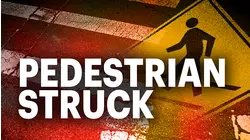 80-year-old woman fatally struck by minivan in Allerton