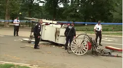 1 killed after Central Park horse takes off with family in carriage