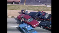 World's Wildest Police Videos