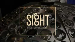 Sight: The Story of Vision