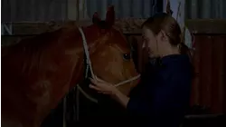 Gift Horse