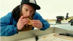 Fisherman's Catch