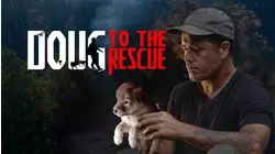 The Dogs of Hurricane Dorian