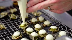 Inside Qatar's Race for Michelin Stars