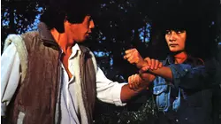 Warrior of Fire: Sho Kosugi Ninja Theatre Vol. 8