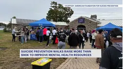 'Out of the Darkness Walk' events in the Hudson Valley raise awareness of suicide prevention