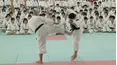 Warriors of Budo