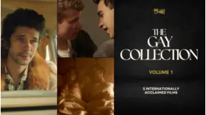 The Gay Collection | Volume I | Presented by Shortz!