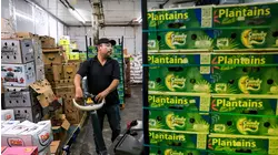 Trump Reduces Tariffs on Food Imports to Lower Grocery Prices