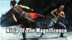 Ninja of the Magnificence