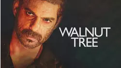 Walnut Tree