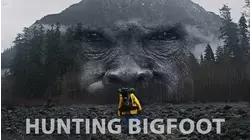 Hunting Bigfoot