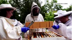 Inside the Buzzy College Program Helping Save Honeybees
