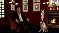 What Are You Pets Saying?
