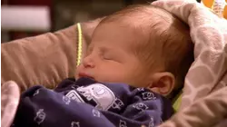 Pucks, Pastries, Pushy Grace