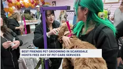 Dog day afternoon in Scarsdale brings free grooming