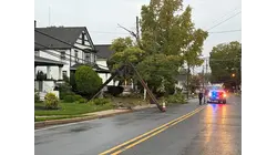 Vehicle crashes into utility pole, brings down wires in Englishtown