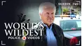 World's Wildest Police Videos