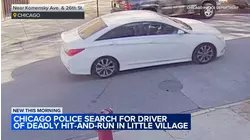 CPD searching for car in deadly Little Village hit-and-run