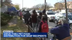 Chicago animal control hosts free pet food pantry amid SNAP pause